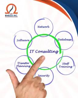 IT Consultant